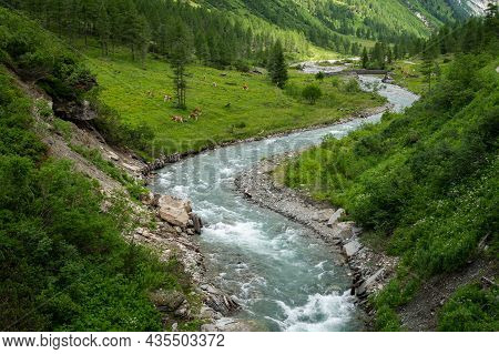 Valley In The Austrian Alps In Summer On A Sunny Day, Dorfertal Osttirol Austria
