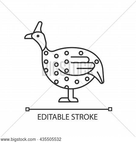 Guinea Fowl Linear Icon. Domesticated Bird. Helmeted Guineafowl. African Breed. Bird Selection. Thin