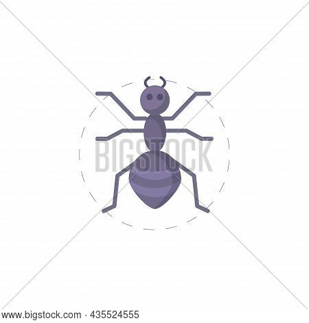 Ant Flat Icon. Ant Clipart On White Background.