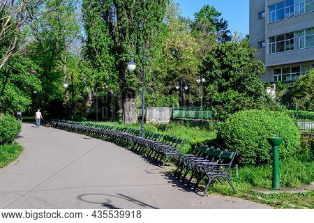 Grey Alley And Many Green Chairs Surrounded By Vivid Green And Yellow Plants, Green Lime Trees And G