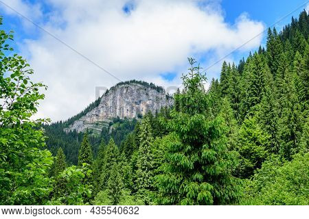 Scenic View From Zanoagei Gorges (cheile Zanoagei)  In The Natural Park From Bucegi Mountains (munti