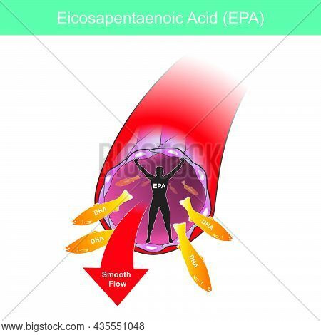 Eicosapentaenoic Acid. Illustration For Commercial Use About Healthy Care Of Artery Wall To Blood Sm