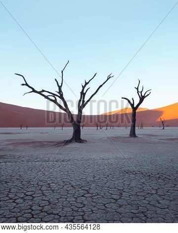 Dead Camelthorn Trees at sunrise, Deadvlei, Namib-Naukluft National Park, Namibia, Africa. Dried trees in Namib desert. Landscape photography