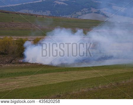 Huge Smoke , Spreading Wildife, Negligent People Burning The Potato Stems At Autumn Causing The Fire