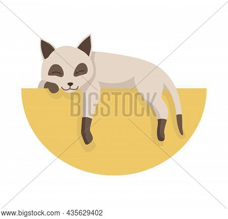 Cartoon Cat Character. Siamese Colorpoint Pet. Adorable Domestic Cat Sleeping. Funny Happy And Playf
