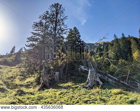 Beautiful Landscape In Switzerland. Hike To The Silberen Mountain. Large Forests In The Canton Of Gl