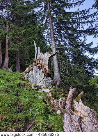 Beautiful Landscape In Switzerland. Hike To The Silberen Mountain. Large Forests In The Canton Of Gl