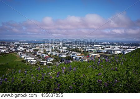 Hafnarfjordur, Iceland - July 17, 2021:
A City And Coastline Panorama, Viewed From A Hill. Lupine Fl