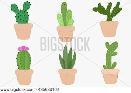 Vector Set Of Bright Cacti, Aloe. Collection Of Exotic Plants. Decorative Natural Elements Isolated 