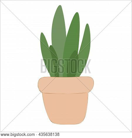 Vector Cactus . Exotic Plants. Decorative Natural Elements Isolated On White.
