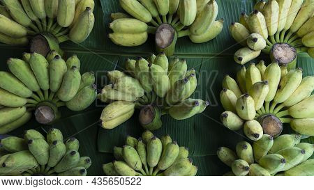 Above View Of แ Awak Raw Banana Green Fruit. Name Of Thailand Kluai Namwa. Arranged In Rows With Ban