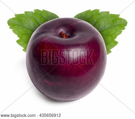 Isolated Plums Fruit. Fresh Red Plums Fruit With Leaves On White Background. Clipping Path