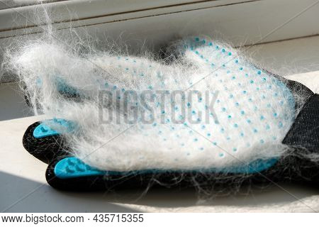 Blue Glove For Combing Hair For Cats And Dogs. Glove With Silicone Lining With White Cat Fur.