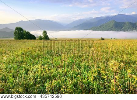 A Green Meadow Against The Background Of Blue Mountains Under The Morning Sky. Siberia, Russia