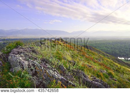 Stones Overgrown With Moss In The Altai Mountains Under The Blue Morning Sky. Siberia, Russia