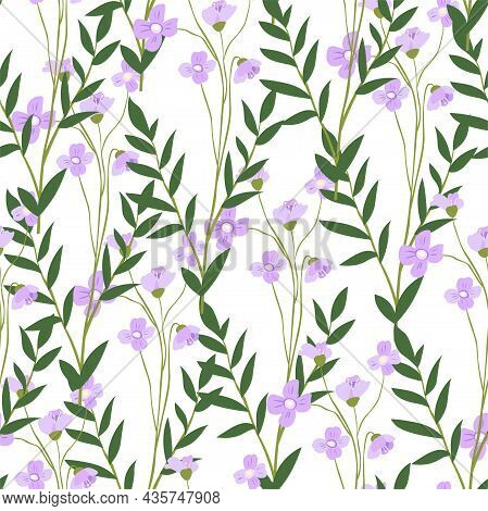 Blooming Matthiola Flower With Leaves And Petals
