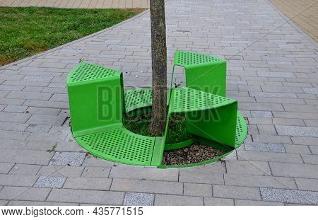 Bench Sitting With A Hole Around A Tree. Green Painted Metal Perforated Plate. Three Places Around T
