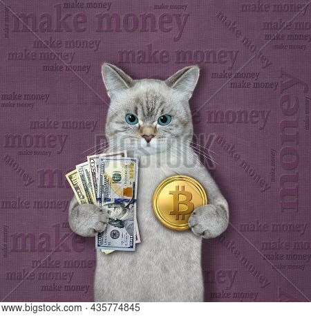 An Ash Cat Holds A Fan Of Dollars And A Gold Bitcoin. Make Money.