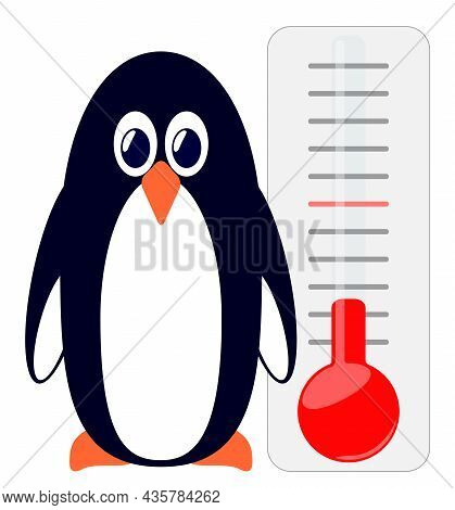 Penguin On The Background Of A Thermometer.