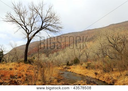 W Jemez rzeki Nowy Meksyk