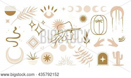 Trendy Aesthetic Illustrations In Boho Style. Set Of Isolated Vector Natural Design Elements Perfect