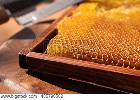 Uncapped Honeycomb Frame On Wooden Table, Closeup