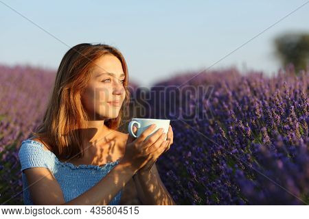 Happy Woman Drinking Coffee Contemplaing Sunset In Lavender Field