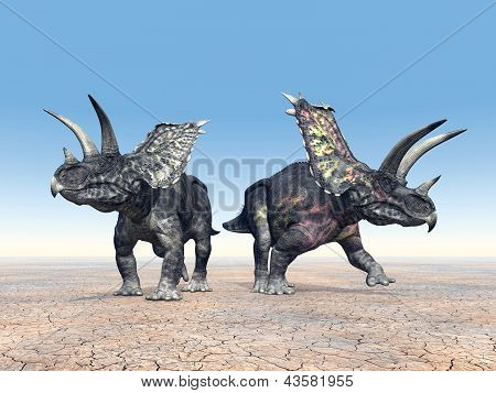 Dinossauro Pentacerátopo