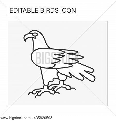Eagle Line Icon. Bird Of Prey With Large, Hiked Beak, Powerful Talons, And Strong Legs.birds Concept