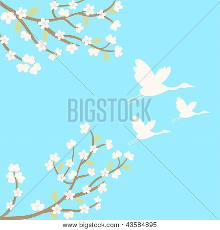 pozadí s sakura a jeřáby