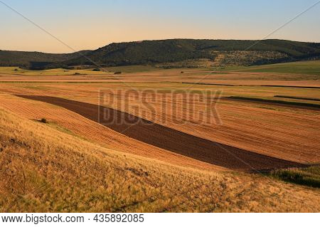 View Of Yellow And Green Fields In Macin, Romania In Summer