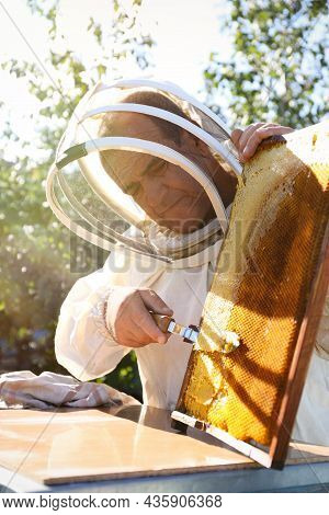 Senior Beekeeper Uncapping Honeycomb Frame With Knife At Table Outdoors