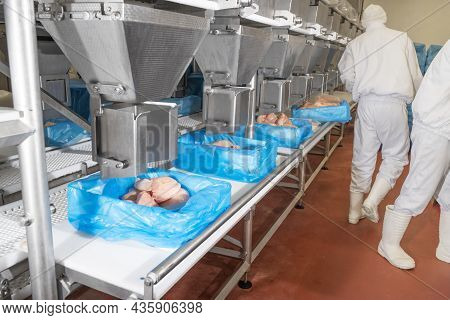 Meat Processing Plant.people Working At A Chicken Factory - Stock Photo.automated Production Line In