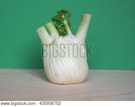 Fennel Vegetables Food
