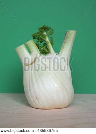 Fennel Vegetables Food