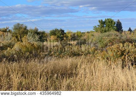 Colorado Autumn Landscape With Trees And Dry Grasses At Two Ponds National Wildlife Refuge In Arvada
