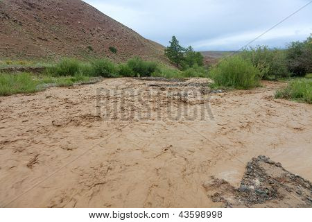 Altai Mountain Rapid Muddy River