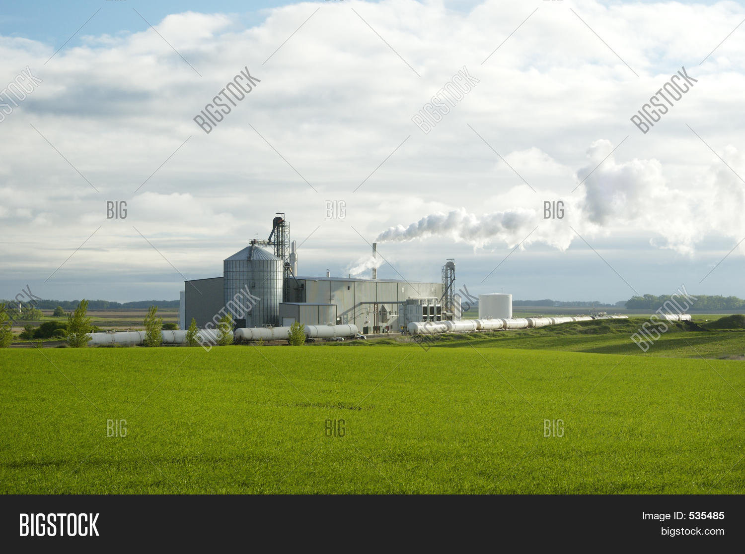 Image Preview