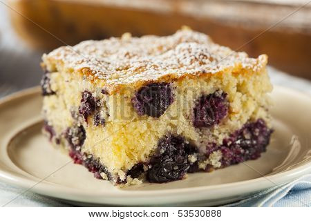 Homemade Blueberrry Coffee Cake