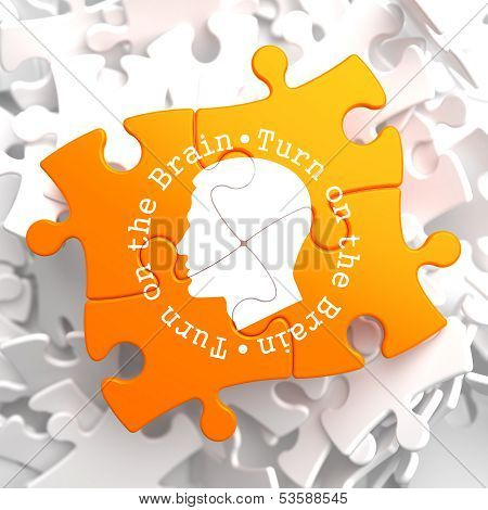 Turn On the Brain: Orange Puzzle.