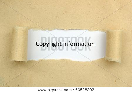 Copyright Information
