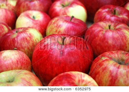 Rote Äpfel