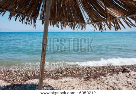Tropical Beach