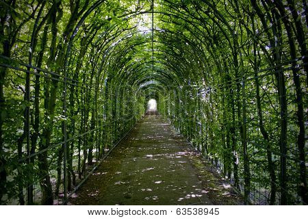 on a road surrounded by nature