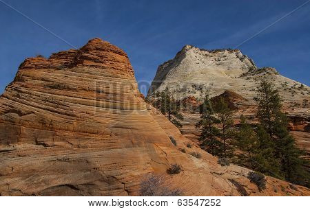 Zion National Park