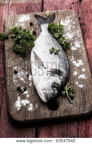 fish delicacy Dorado