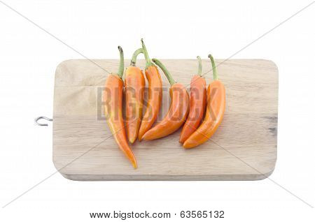 Group of long orange chili on isolate background
