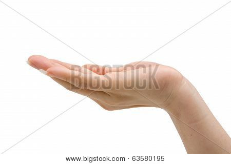 Hand