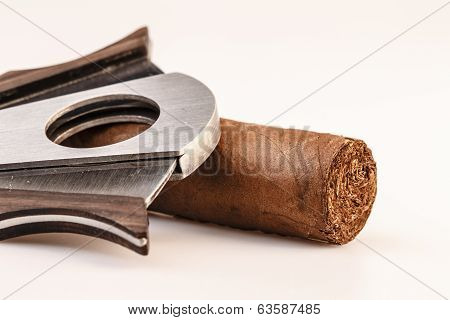 Cigar And Cutter On A White Background