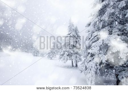 Christmas background with snowy fir trees 